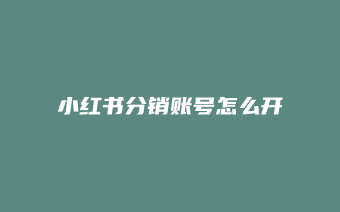 小紅書(shū)分銷賬號(hào)怎么開(kāi)店鋪