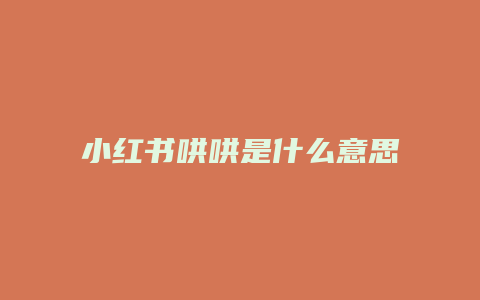 小紅書哄哄是什么意思